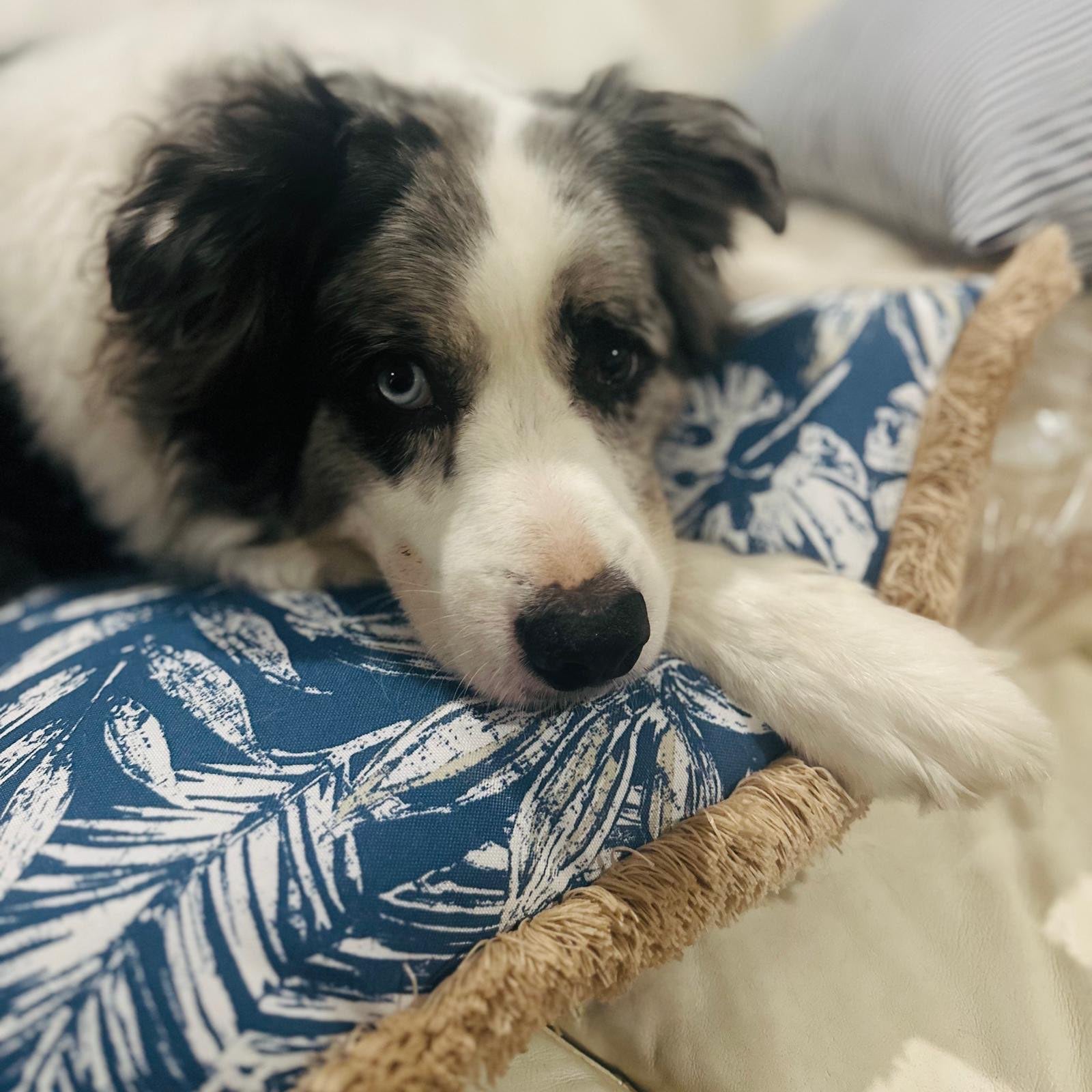 Transform Your Space to Tahiti