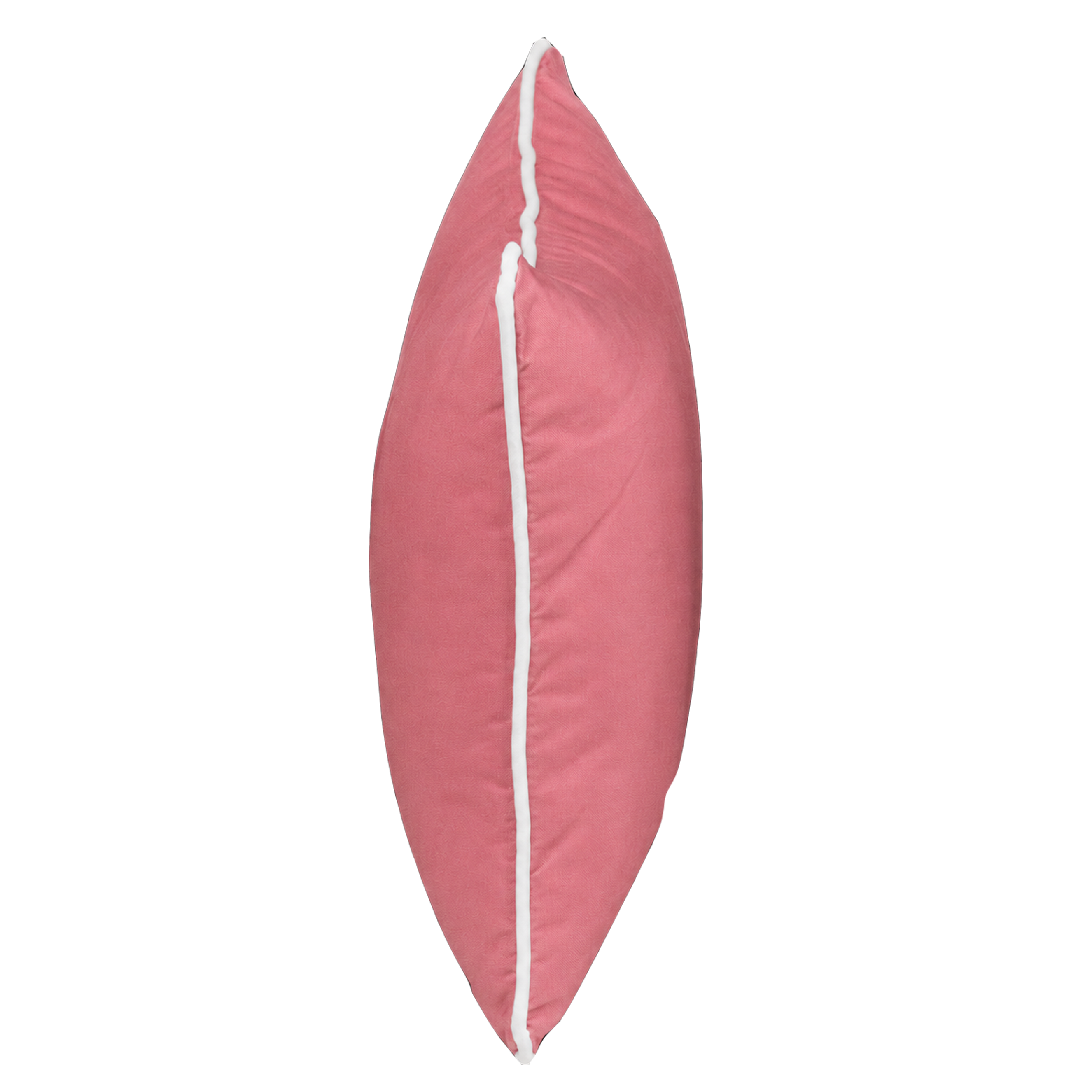 Bondi Stylist Selection - Rose Protea 5pc