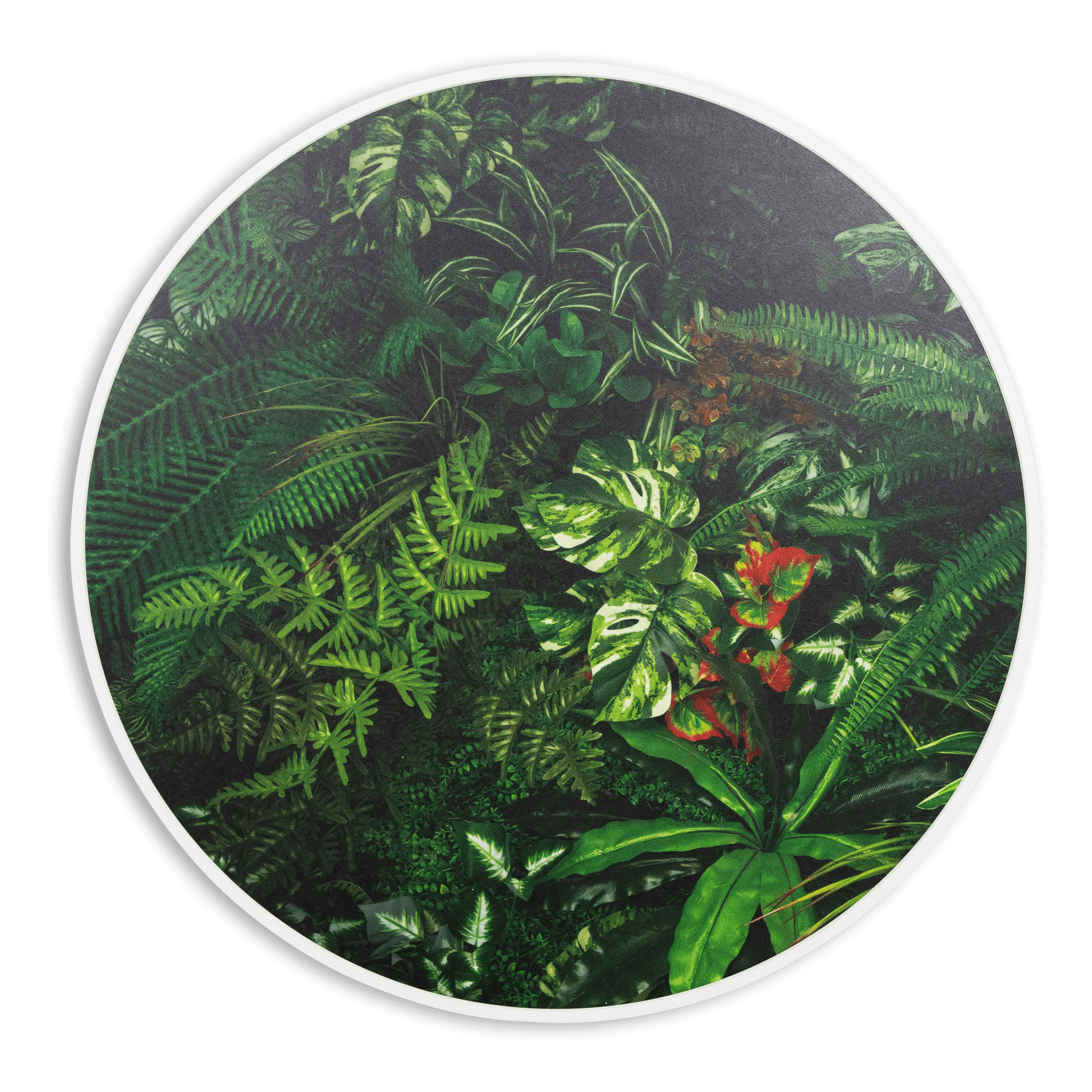 Leaf And Light - 60cm Round Outdoor UV Wall Art with White Aluminium Frame