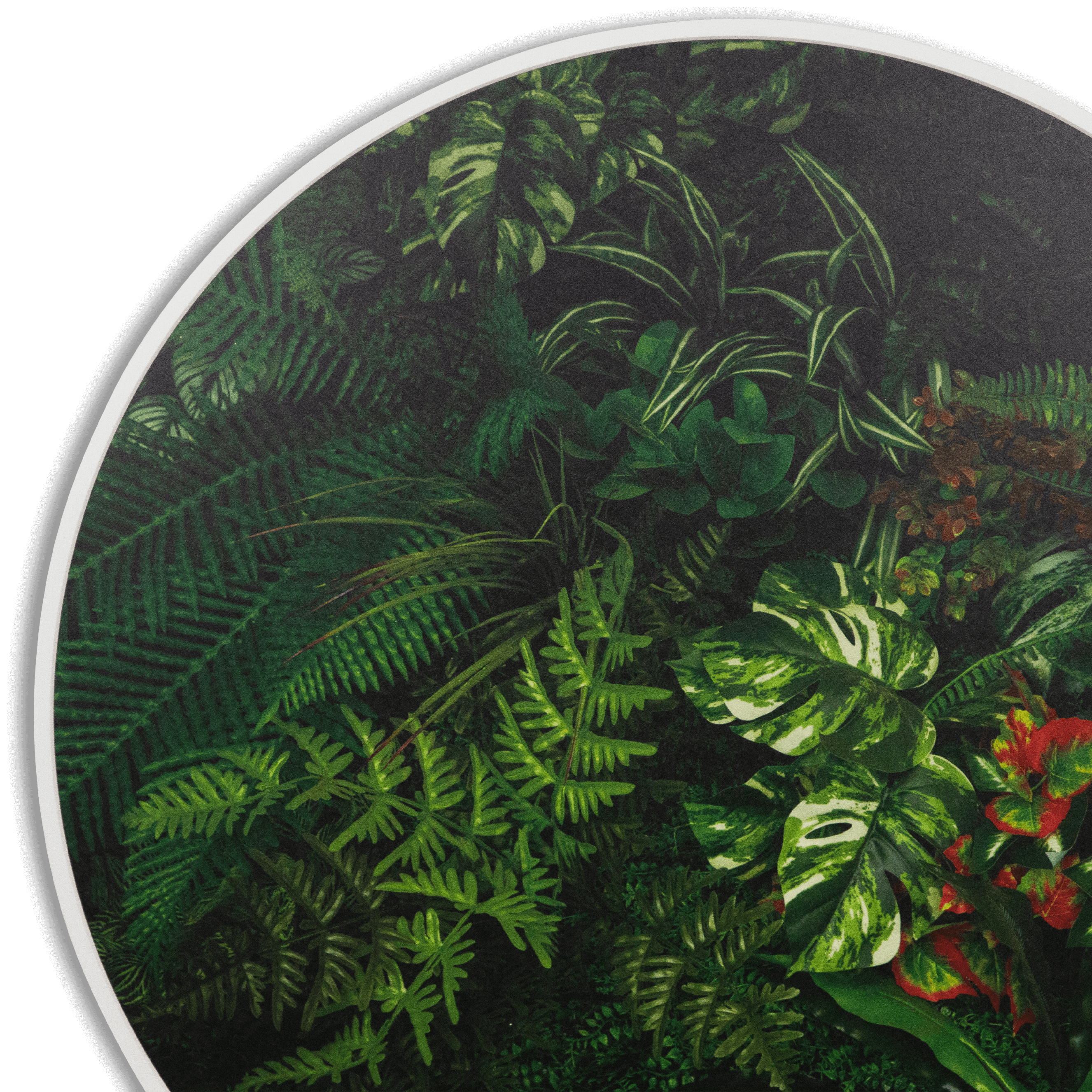 Leaf And Light - 60cm Round Outdoor UV Wall Art with White Aluminium Frame