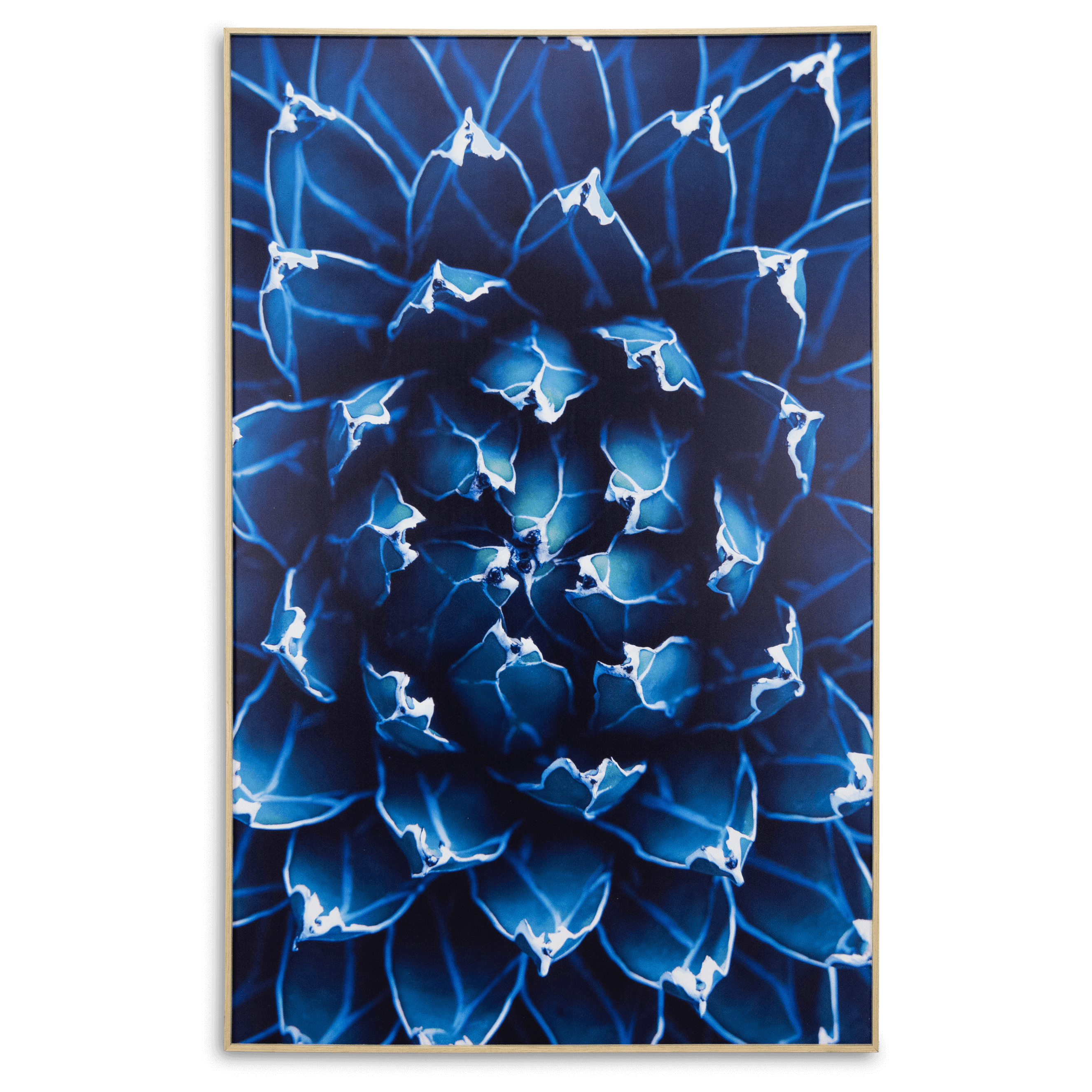 Agave - 70 x 110cm Outdoor UV Wall Art with Beech Aluminium Frame