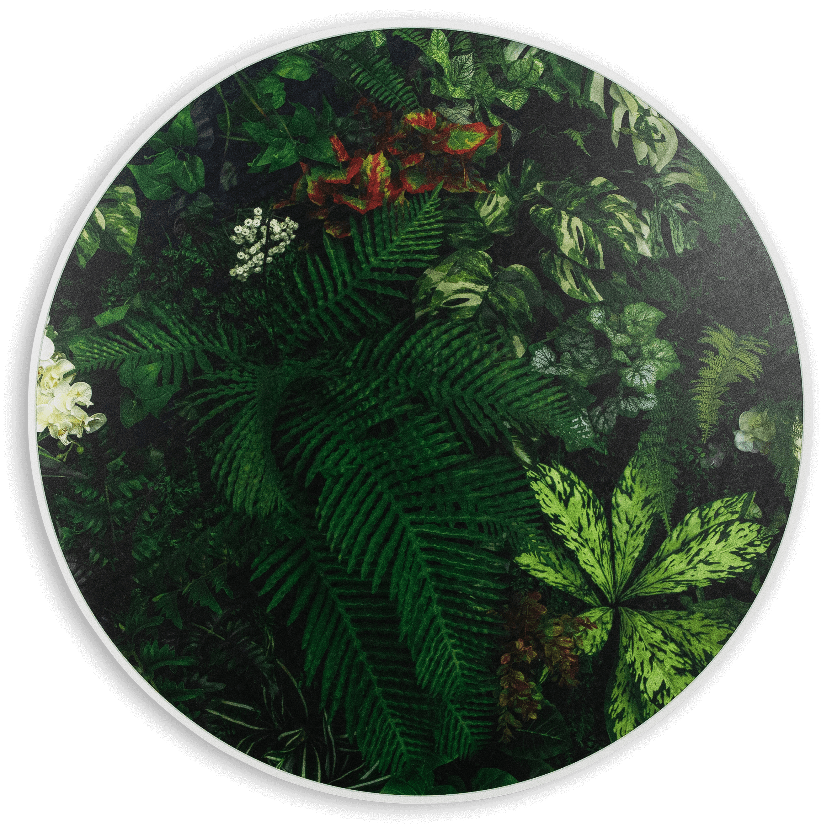 Bloomscape - 80cm Round Outdoor UV Wall Art with White Aluminium Frame