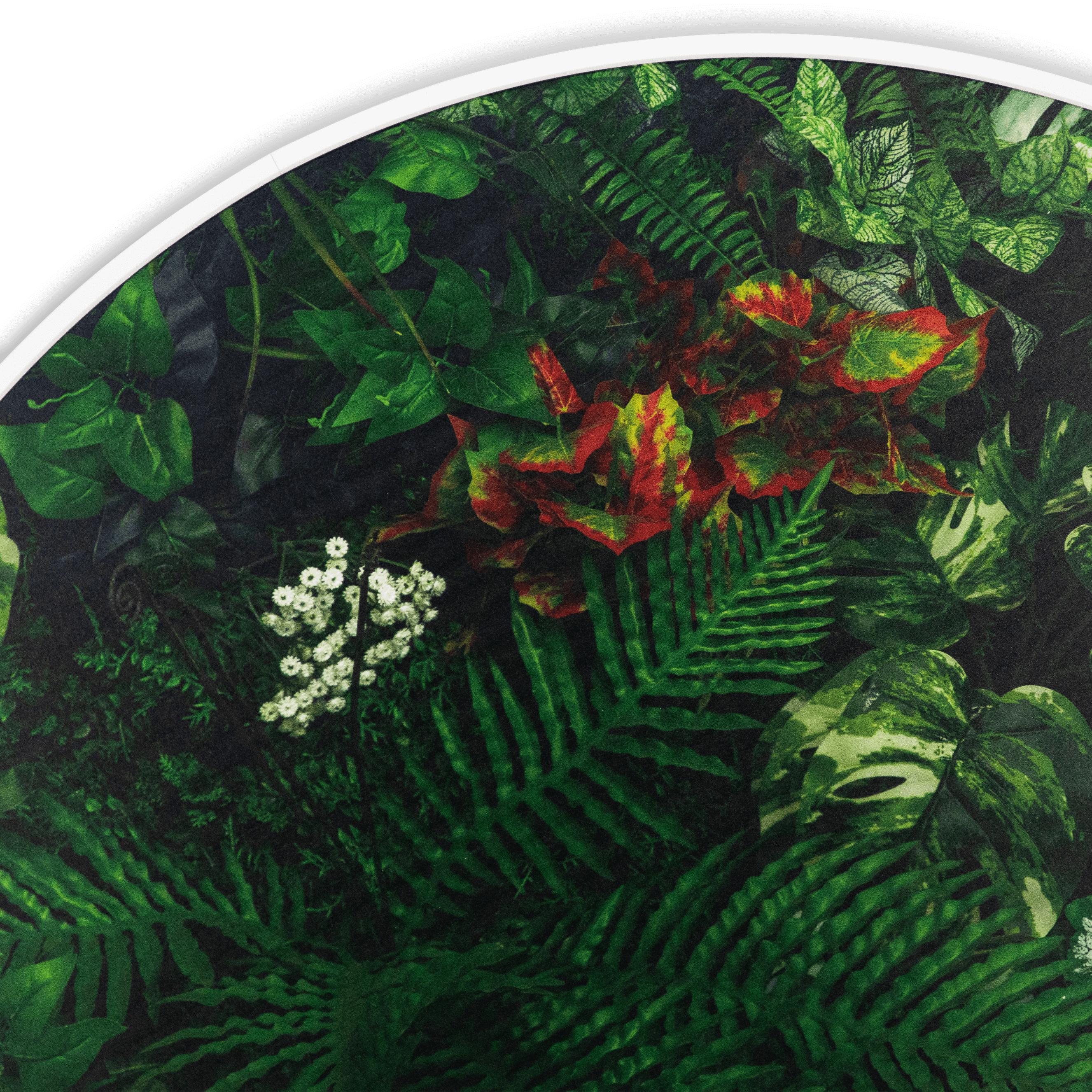 Bloomscape - 80cm Round Outdoor UV Wall Art with White Aluminium Frame