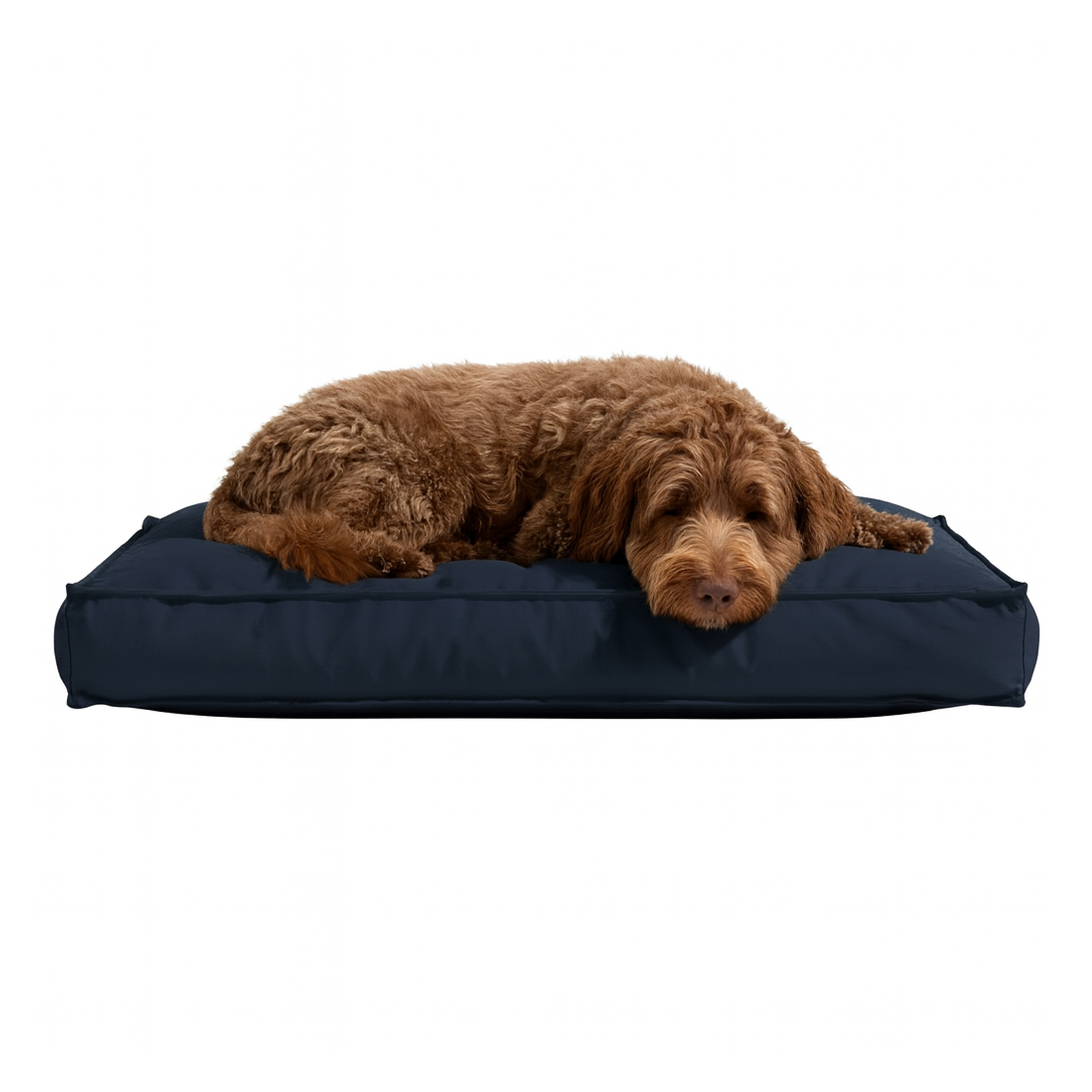Pawesome Indoor/Outdoor Premium Rectangle Dog Bed in Navy
