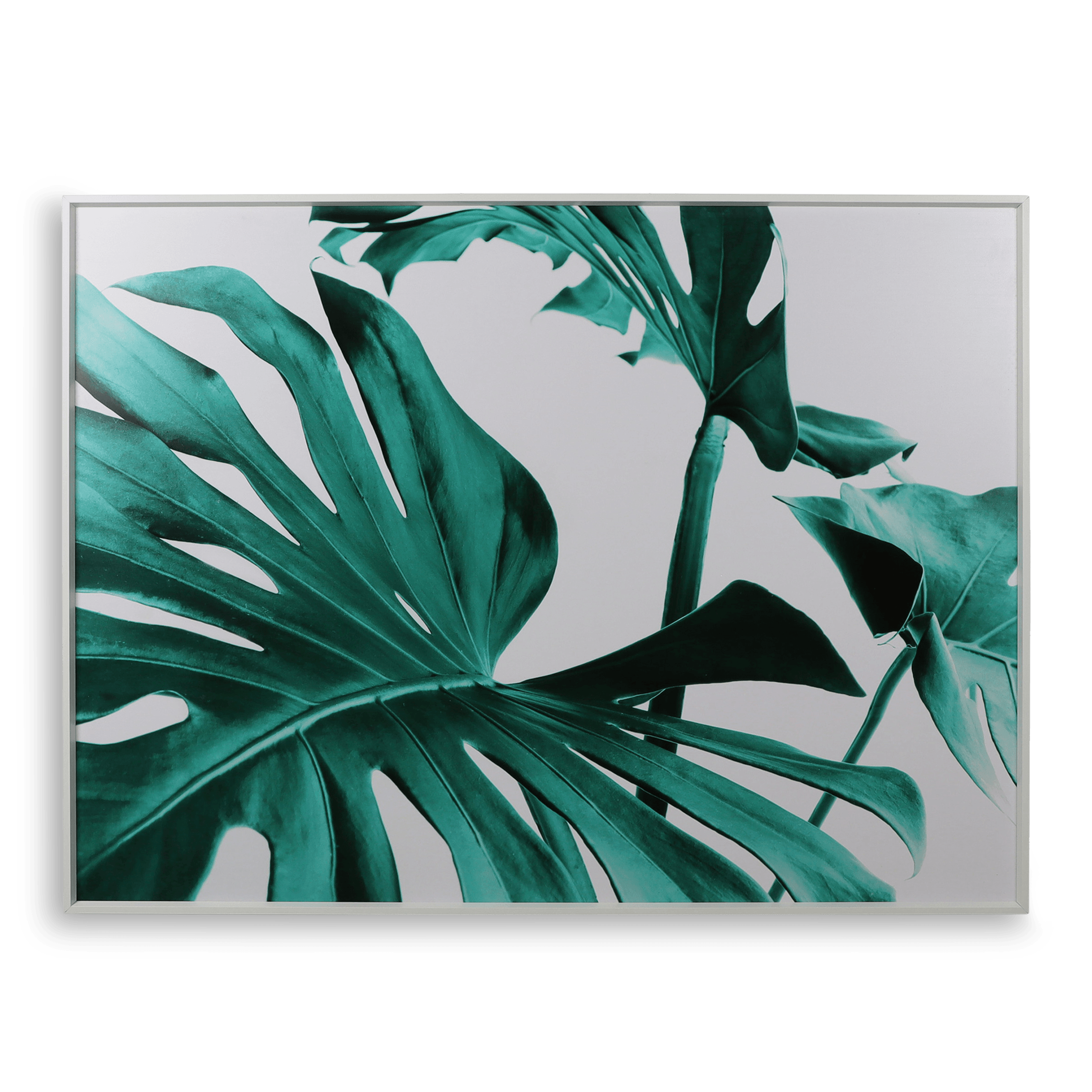 Outdoor Flower Wall Art Australia Greenpeace 1 Buy Outdoor Wall Art