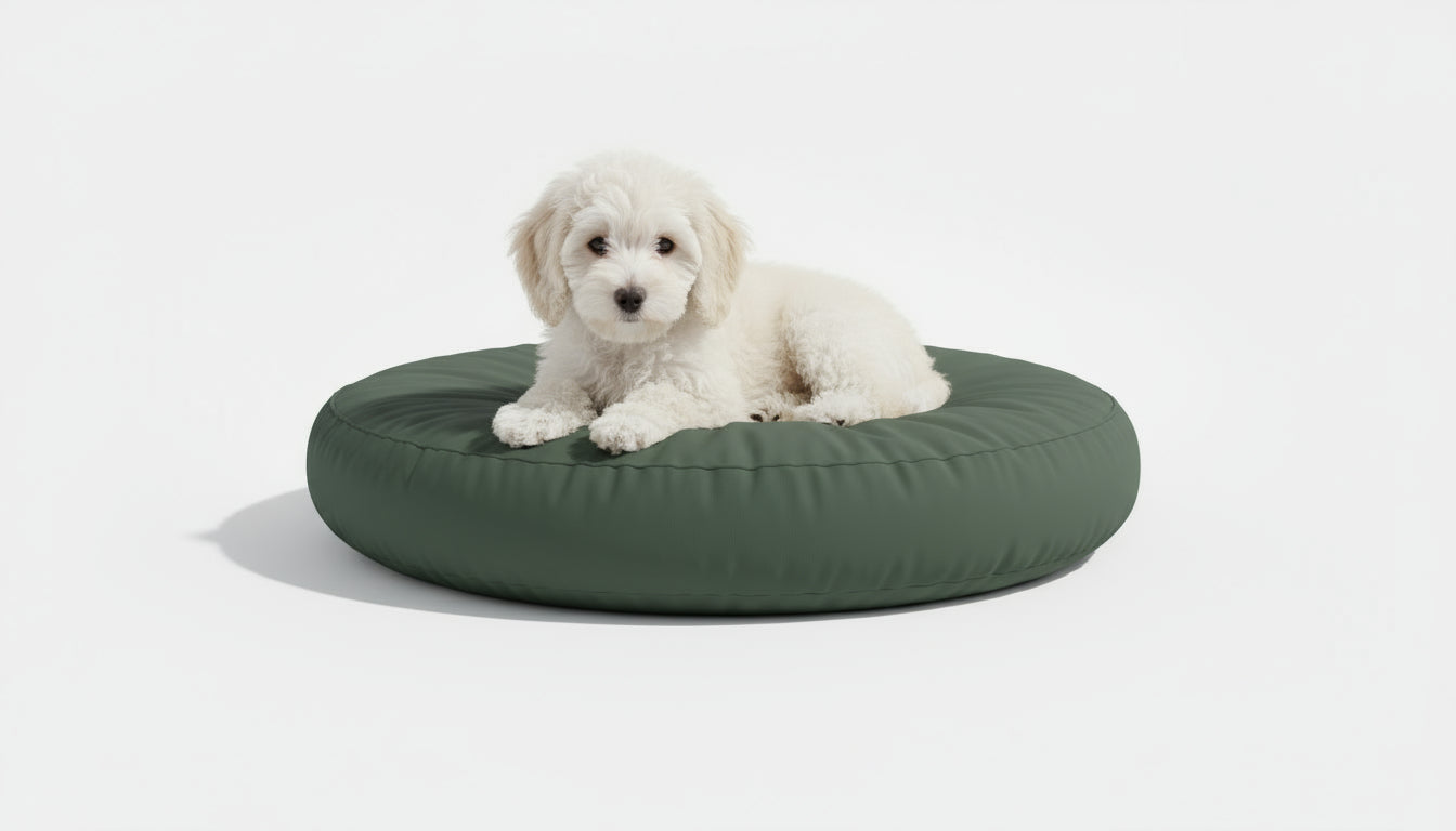 Pawesome Indoor/Outdoor Premium Round Dog Bed in Avocado