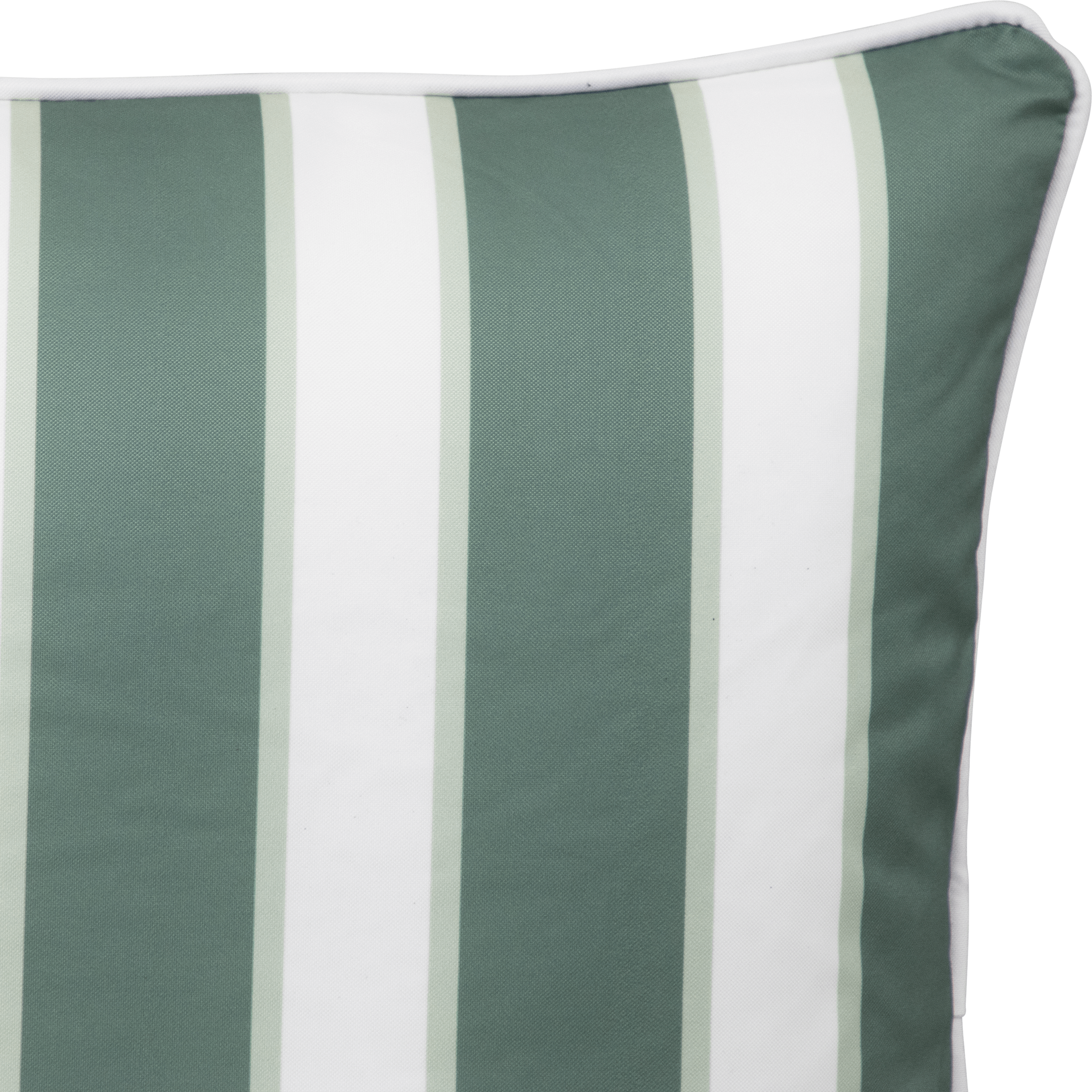 Bondi Stylist Selection - Wild Protea 5pc
