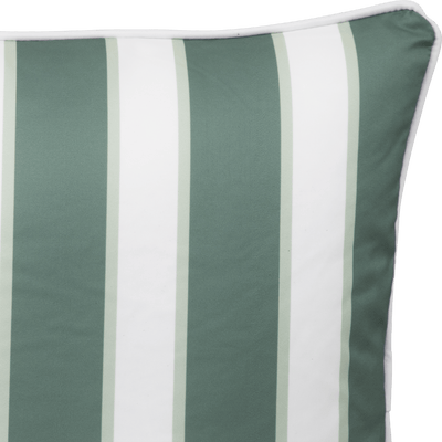 Bondi Stylist Selection - Wild Protea 5pc