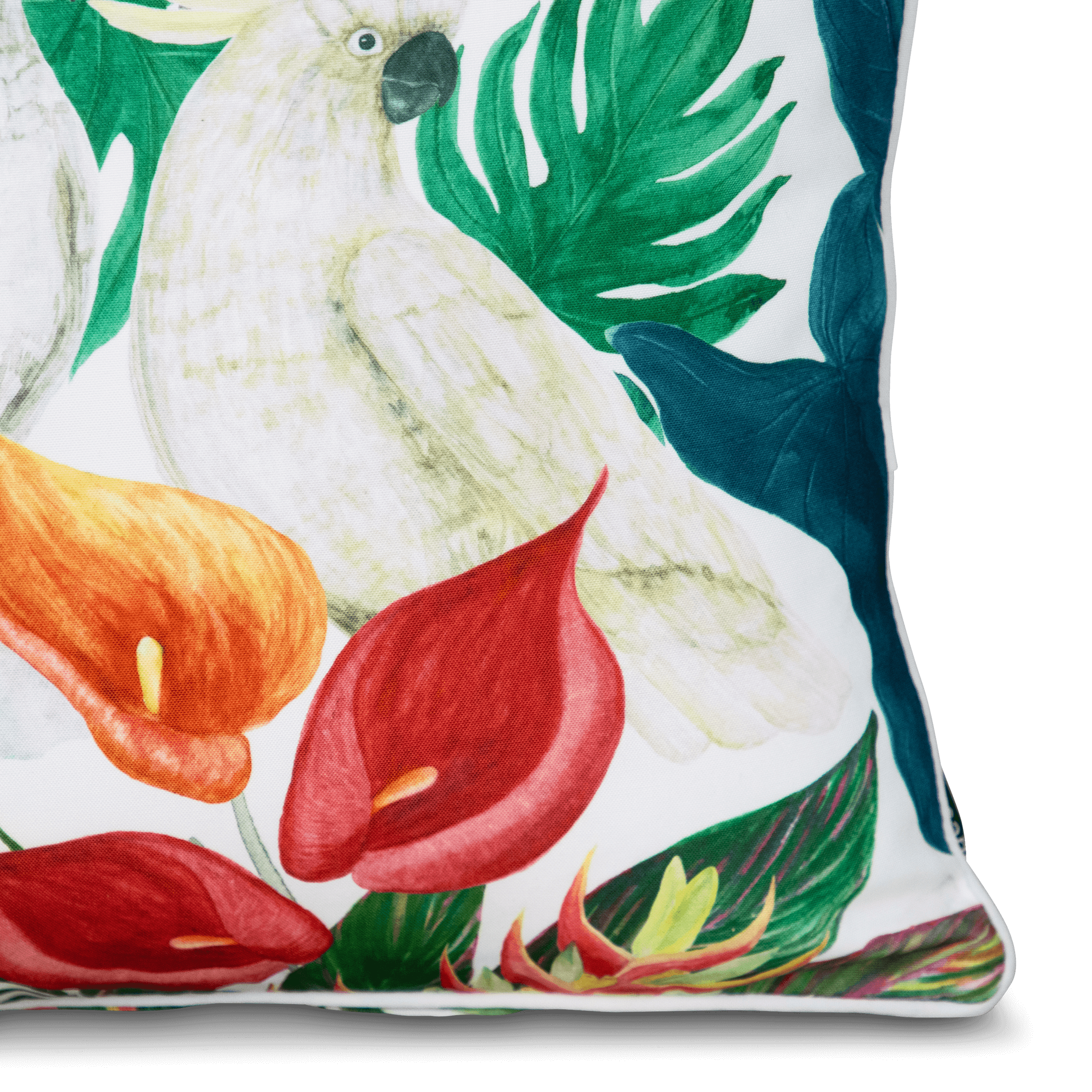 Bondi Cockatwo - 45 x 45 cm Piped Cushion