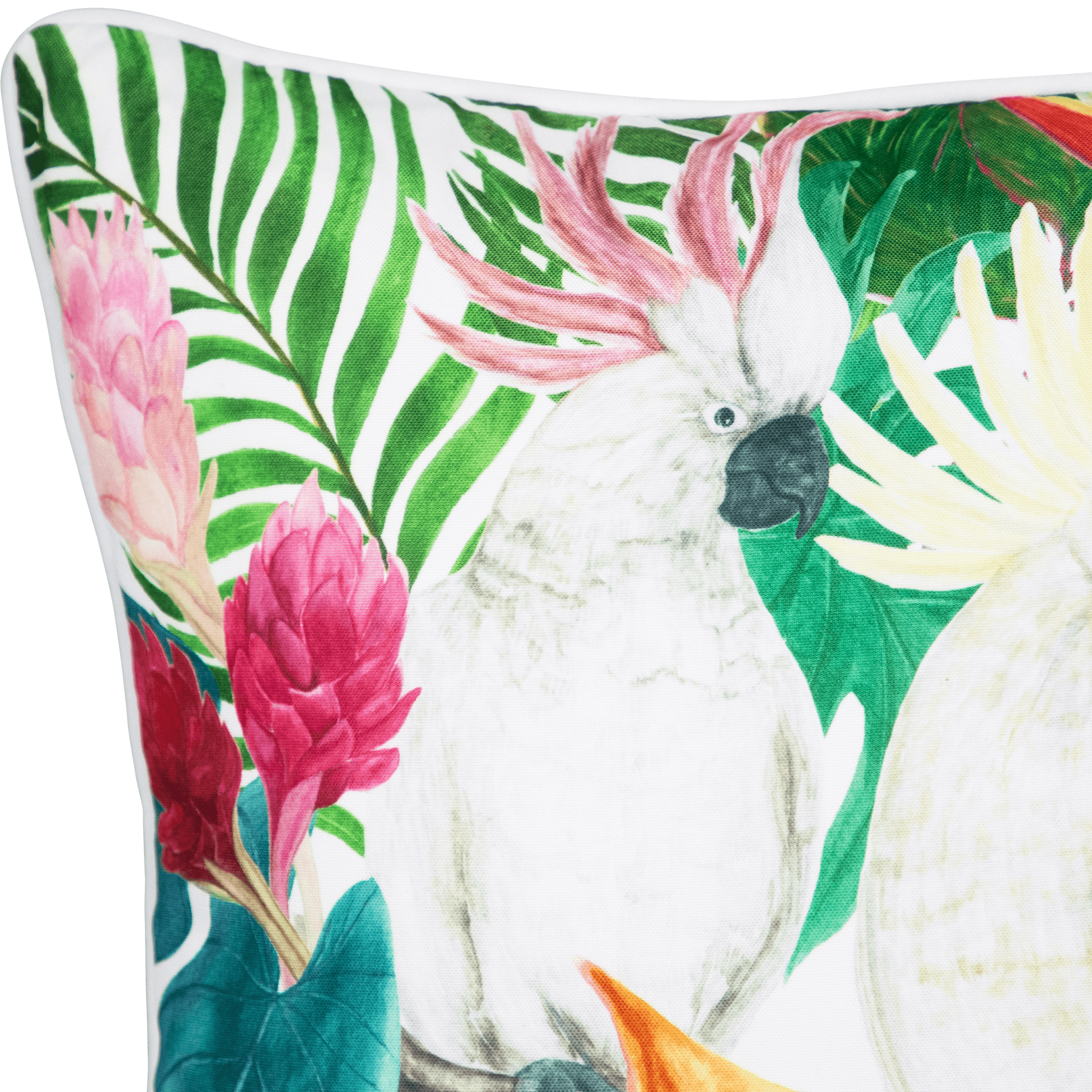 Bondi Cockatwo - 45 x 45 cm Piped Cushion