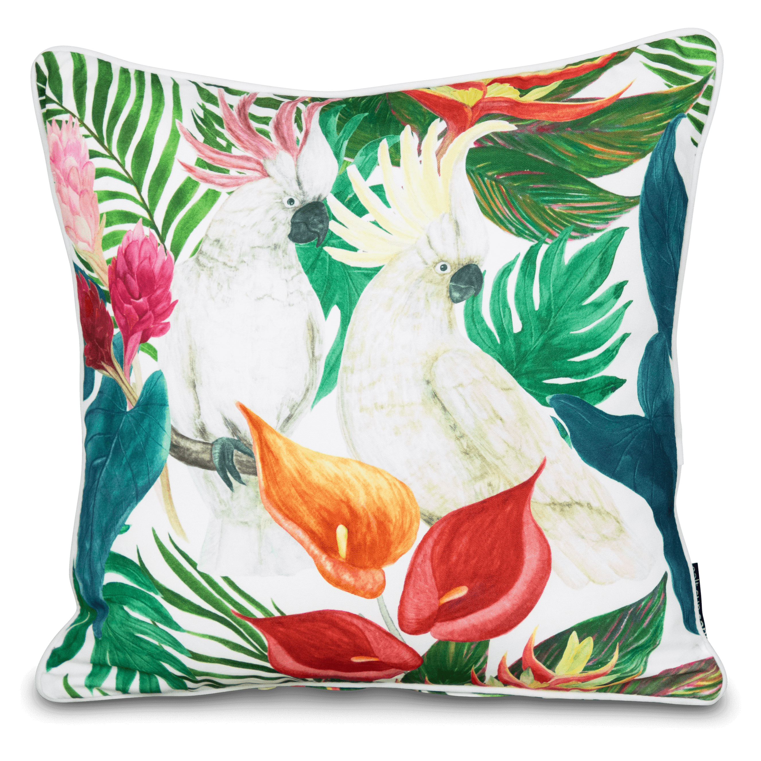 Bondi Cockatwo - 45 x 45 cm Piped Cushion