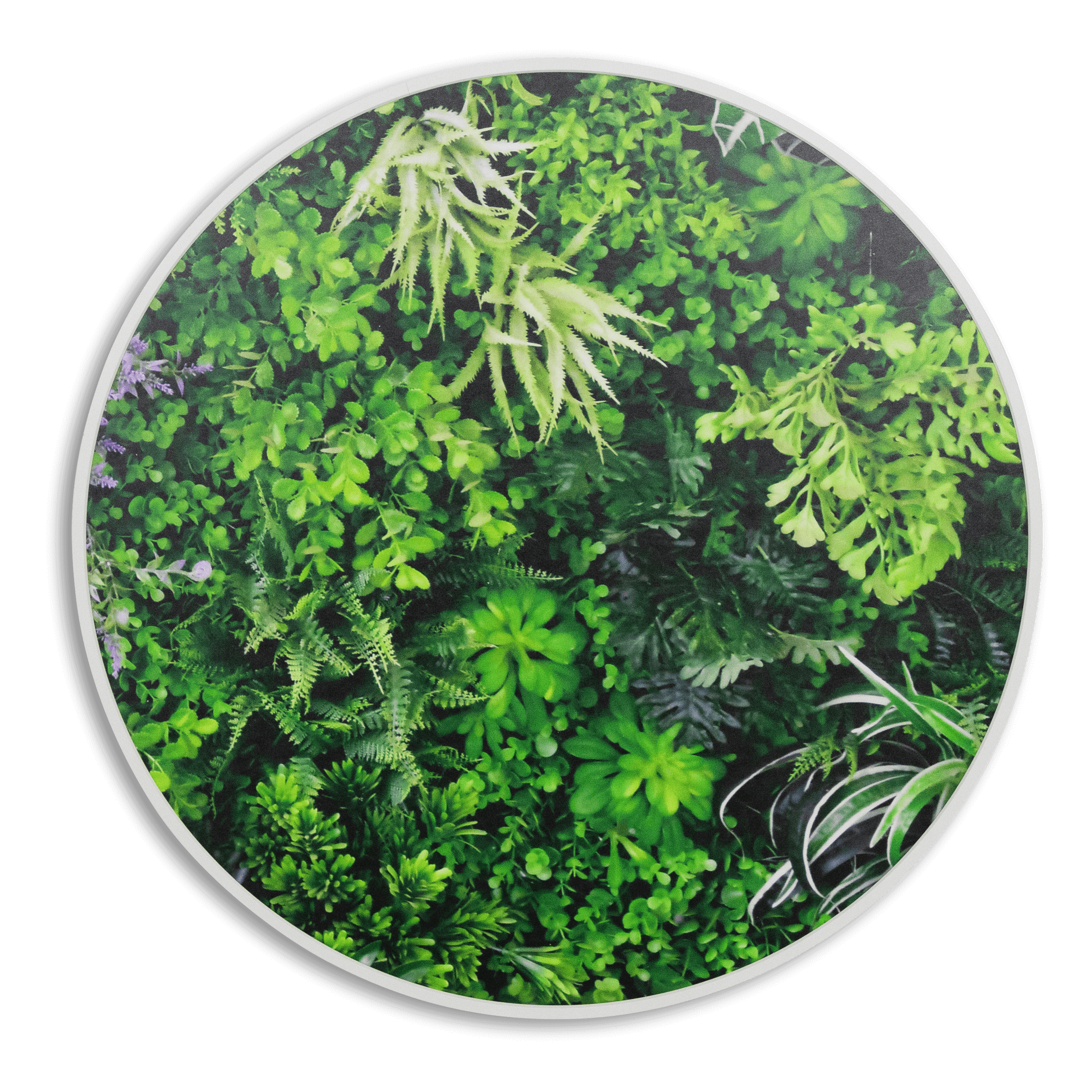 Eden Vista - 60cm Round Outdoor UV Wall Art with White Aluminium Frame