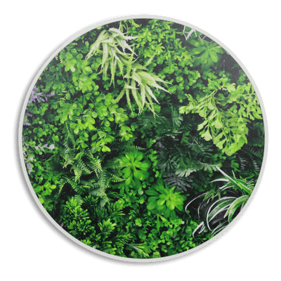 Eden Vista - 60cm Round Outdoor UV Wall Art with White Aluminium Frame