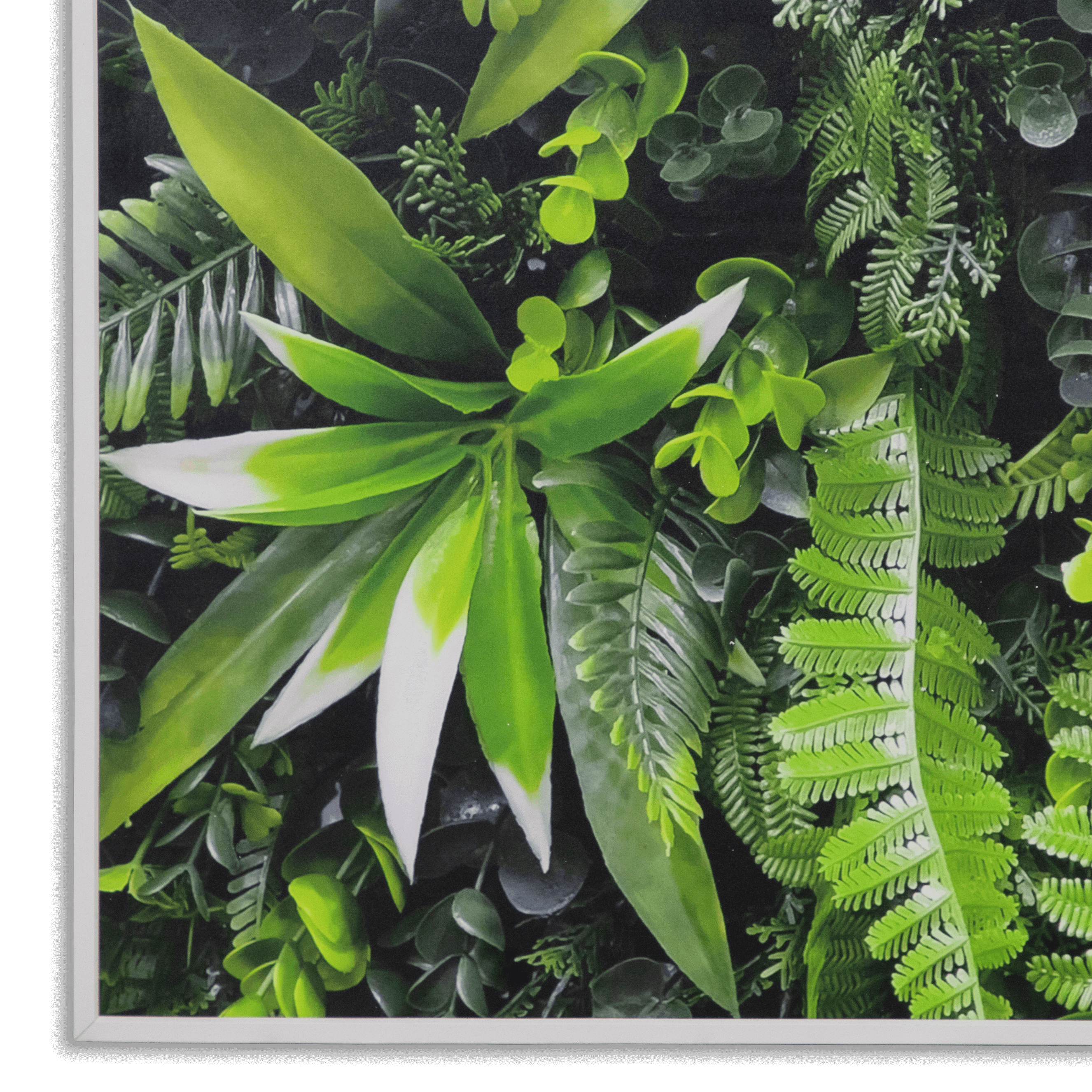 Garden Arch - 60 x 100cm Arch Outdoor UV Wall Art with White Aluminium Frame