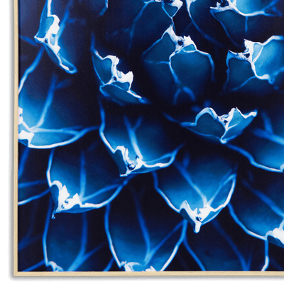 Agave - 70 x 110cm Outdoor UV Wall Art with Beech Aluminium Frame