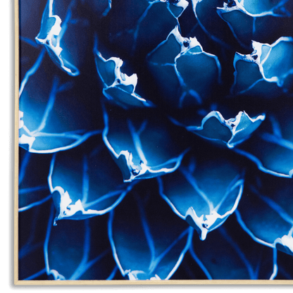 Agave - 70 x 110cm Outdoor UV Wall Art with Beech Aluminium Frame