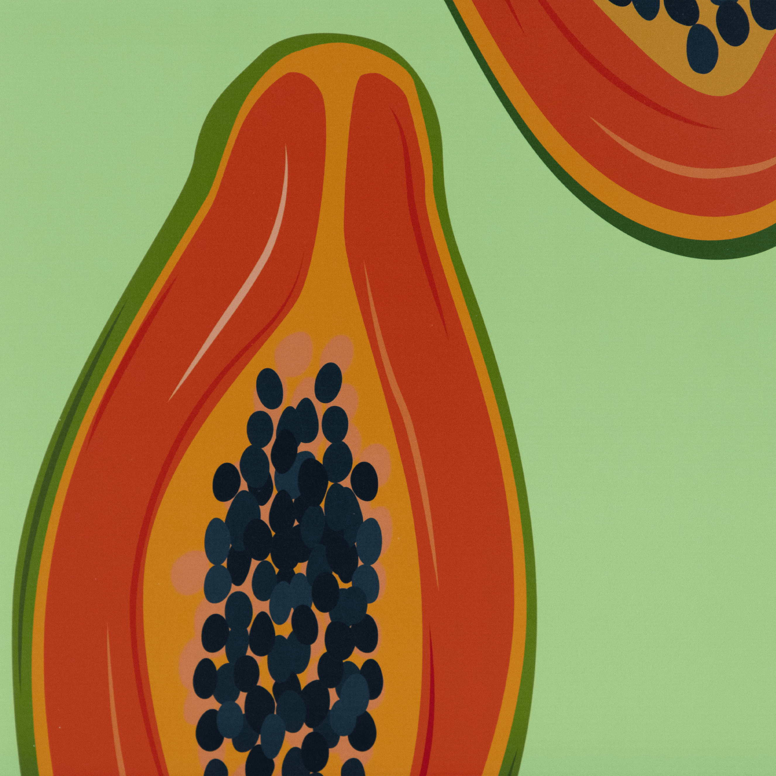 Papaya Fruit Market - 60 x 100cm Outdoor UV Wall Art with Beech Aluminium Frame