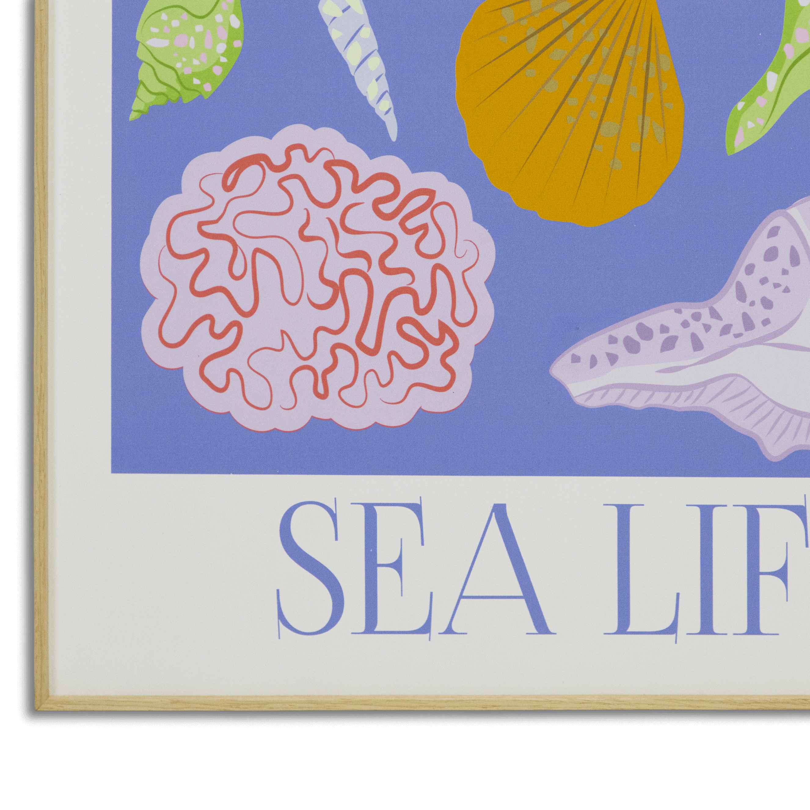 Memory of Summer Sea Life - 60 x 100cm Outdoor UV Wall Art with Beech Aluminium Frame