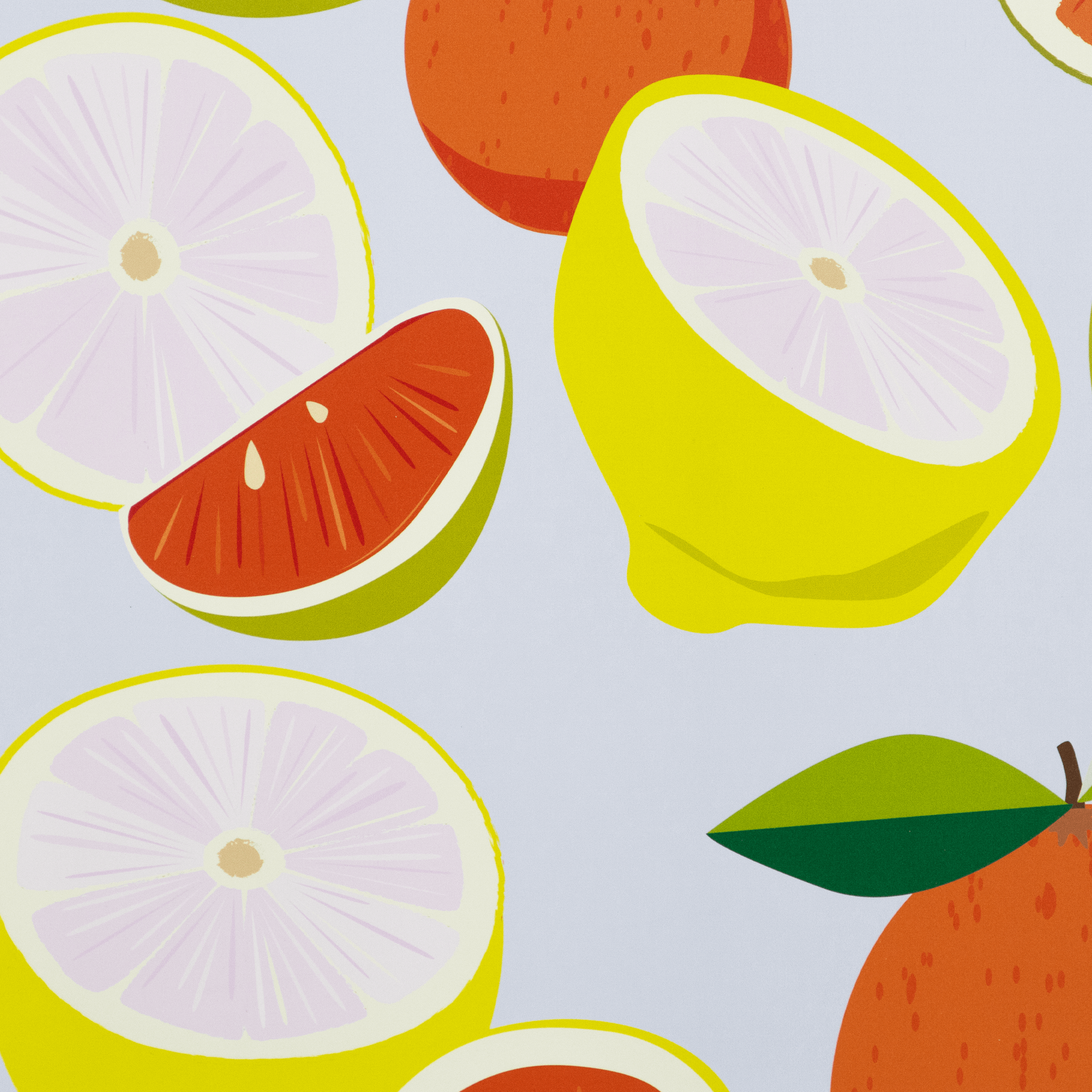 Boho Botanical Citrus - 60 x 100cm Outdoor UV Wall Art with Beech Aluminium Frame