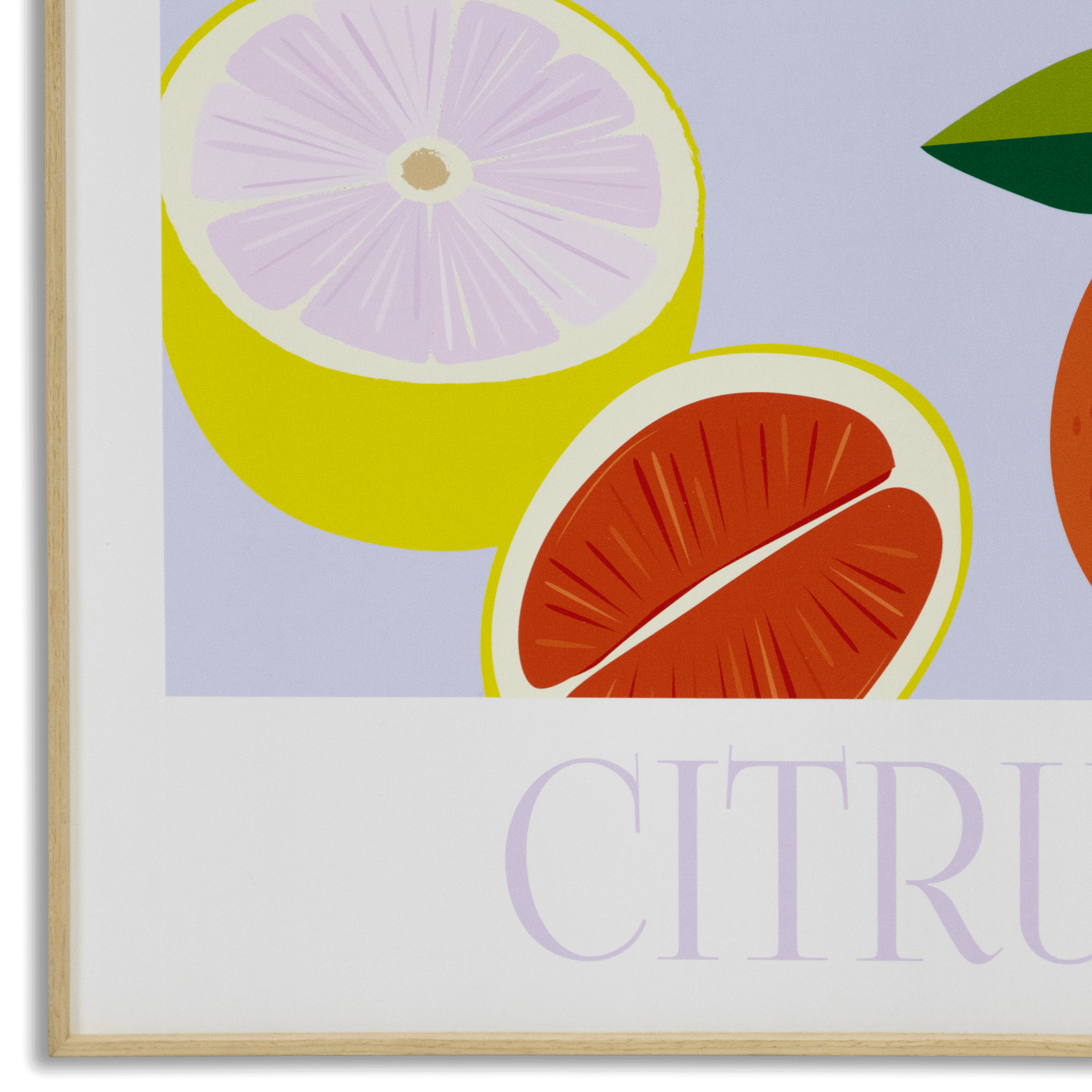Boho Botanical Citrus - 60 x 100cm Outdoor UV Wall Art with Beech Aluminium Frame