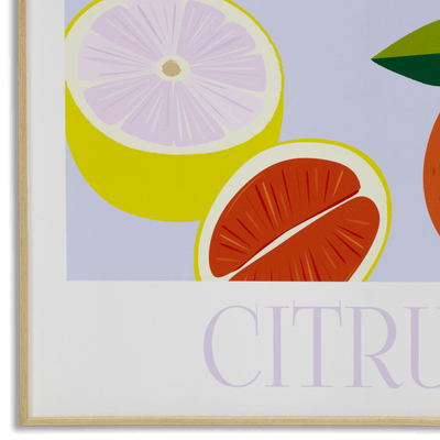 Boho Botanical Citrus - 60 x 100cm Outdoor UV Wall Art with Beech Aluminium Frame