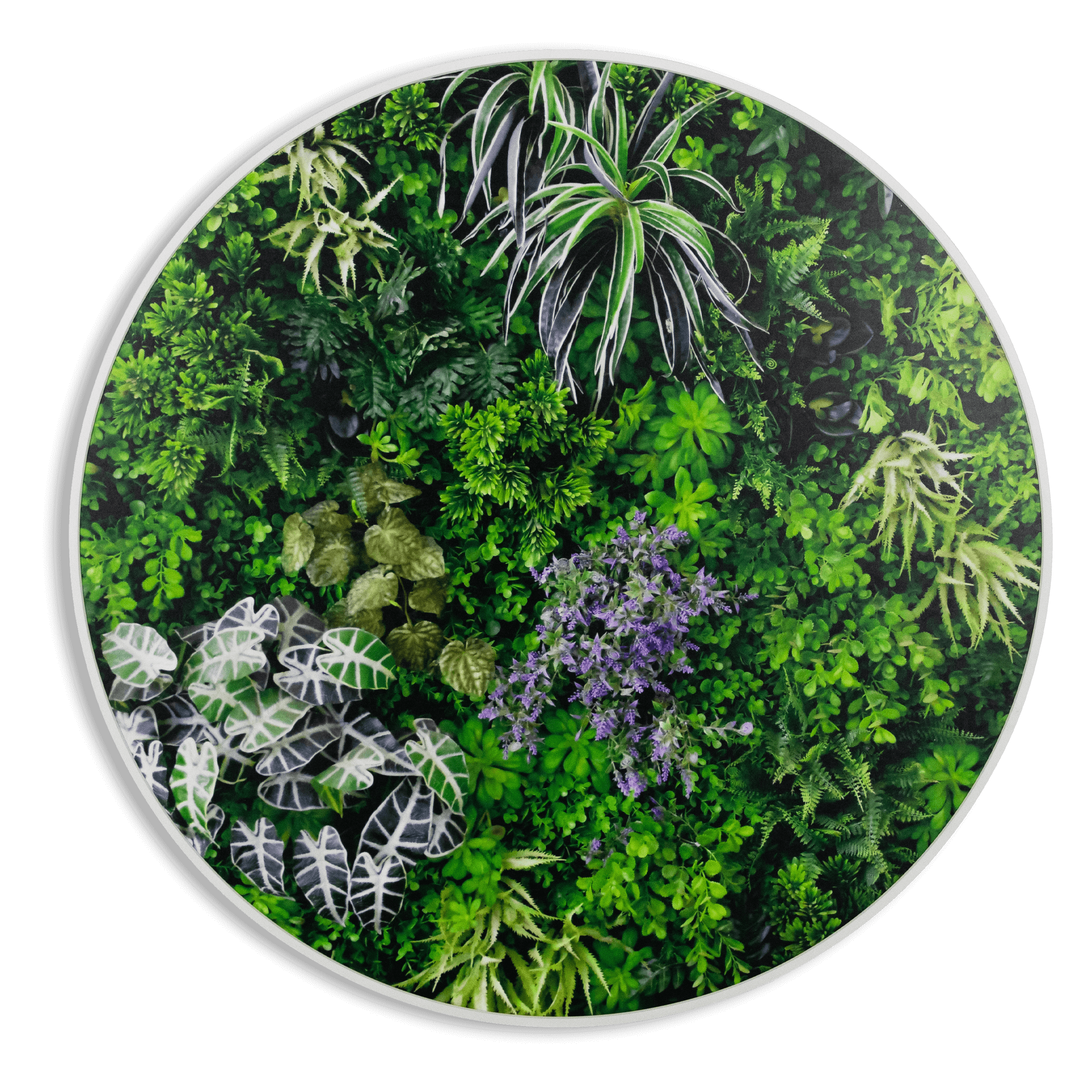 Garden View - 80cm Round Outdoor UV Wall Art with White Aluminium Frame