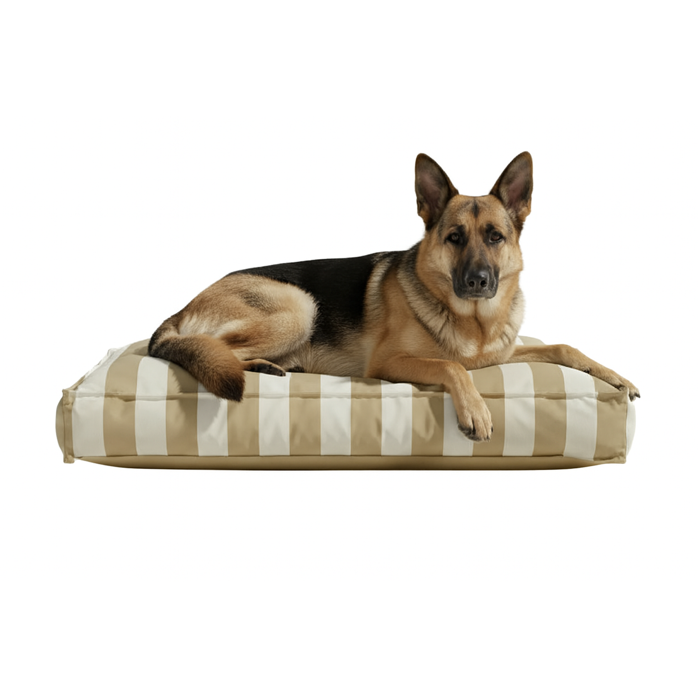 Pawesome Indoor/Outdoor Premium Rectangle Dog Bed in Taupe Stripe