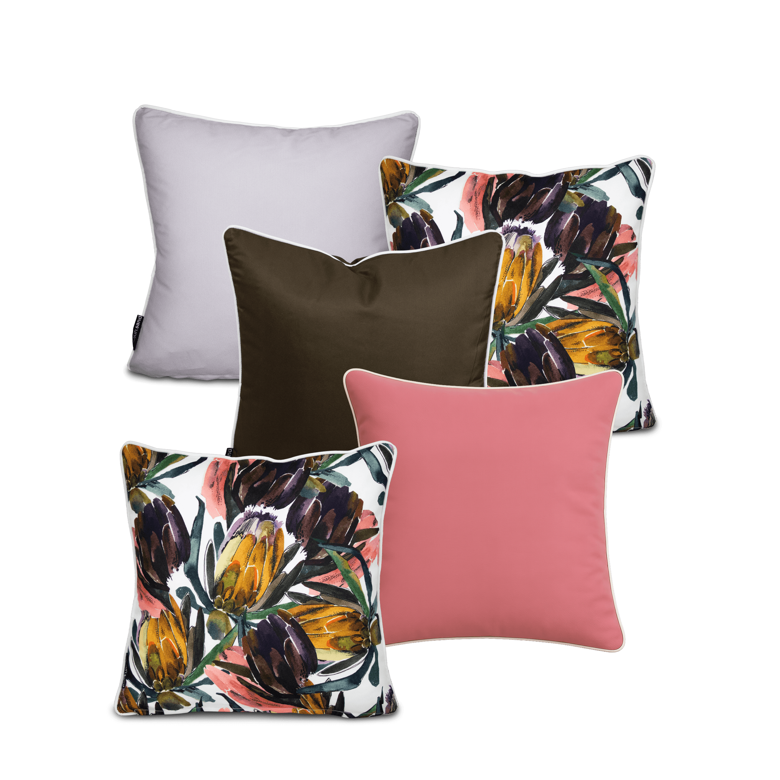 Bondi Stylist Selection - Rose Protea 5pc